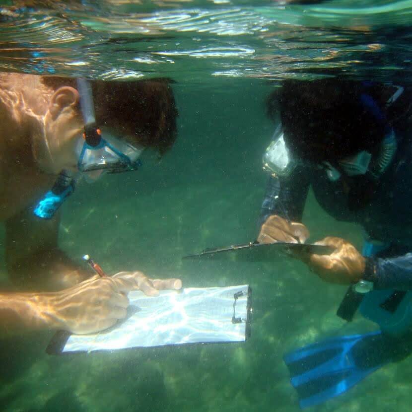 Two students in snorkel gear taking notes underwater.